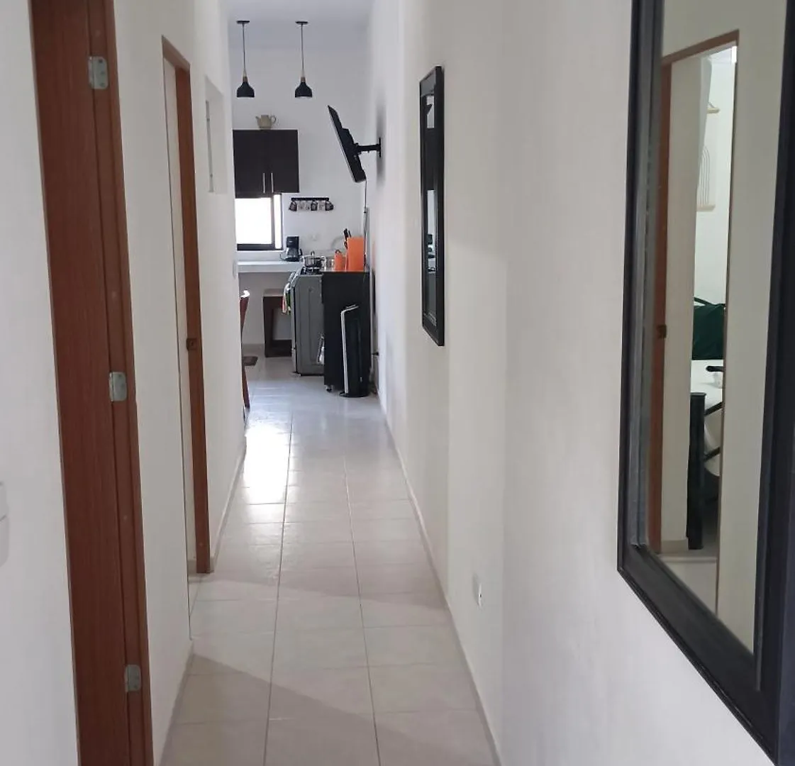 Tauch Cancun Centro